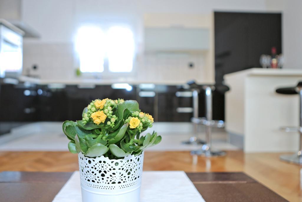 City Gallery Apartment Zadar Zewnętrze zdjęcie